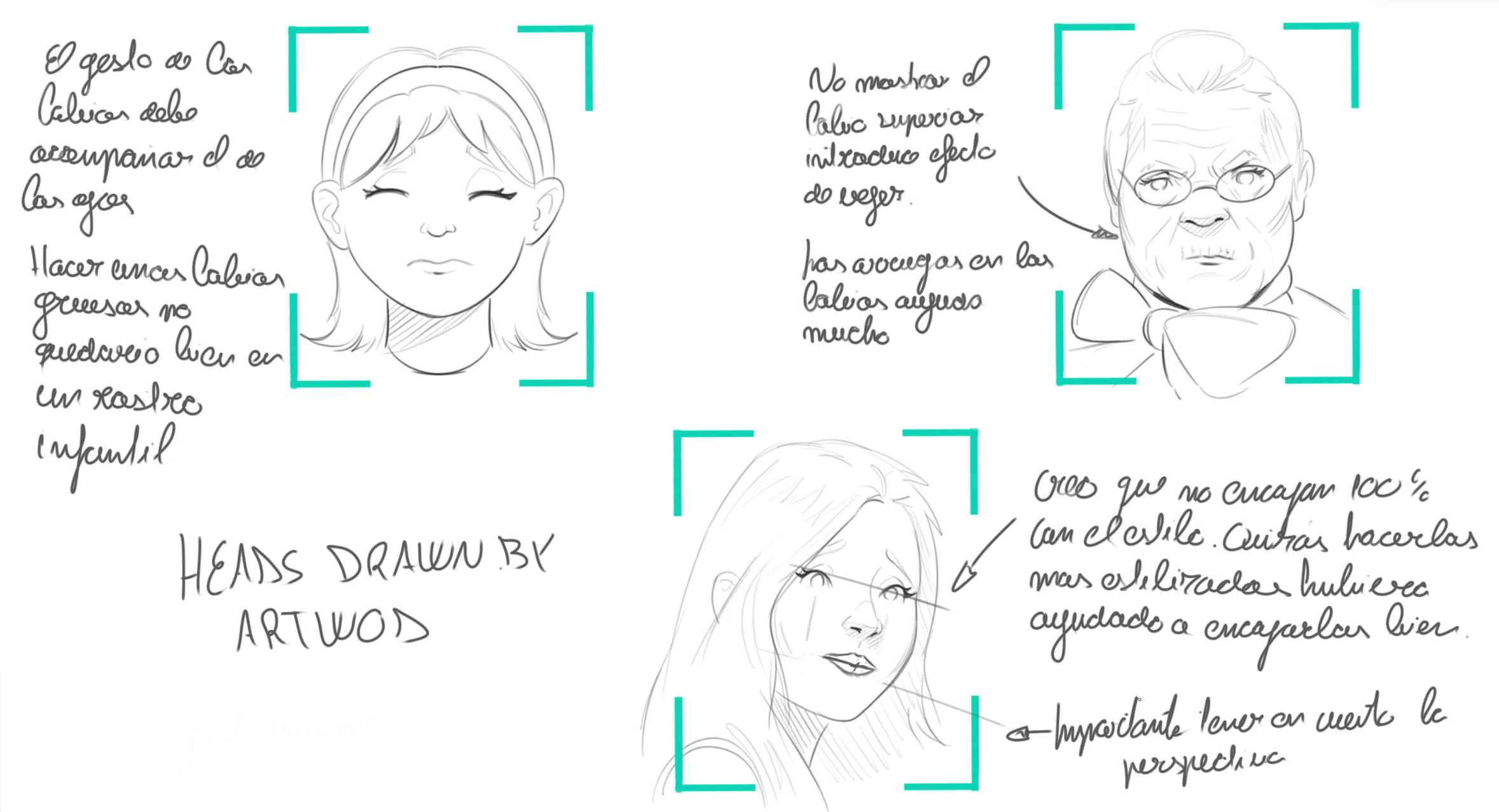 Anatomy 7